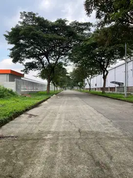 Kavling Industri 2.300m², Delta Silicon Lippo Cikarang, 2.950 Juta/m²!