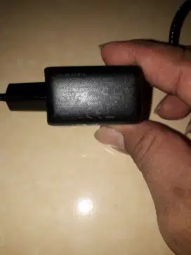 Charter Aukey 22W type C