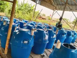 Tangki Septictank Fiberglass