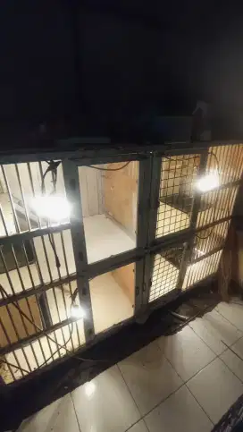 Kadang kucing 4 kamar plus lampu kuning free kucing