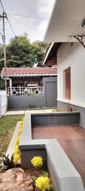 Disewakan rumah di Jl Mangga