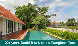 Luxury Villa View Sawah di Subak Sari - Tibubeneng