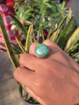 Pirus Persia Hijau
