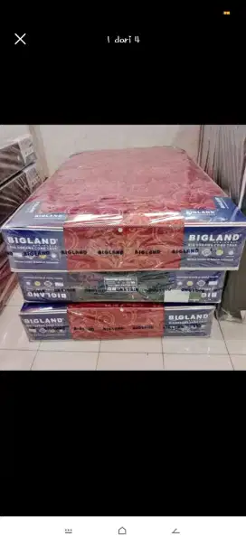 BIGLAND STANDAR