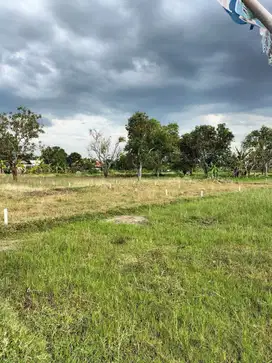 Tanah Dekat Tol Cilincing Jakarta Utara Cocok Sendiri atau Investasi