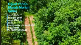Dijual Tanah subur Murah Luas 3200m Harga 130 juta jossss