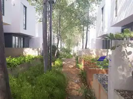 YVE cinere tema tropical minimalist andra martin, rumah rasa villa