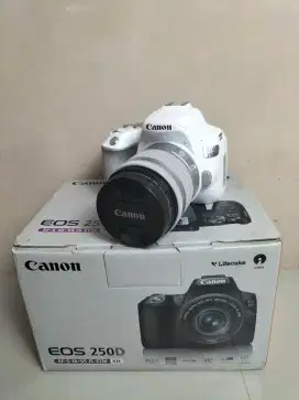 Canon 250D Fullshet Box Lengkap Mulus Likenew