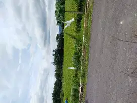 Tanah Sawah Yang Asri Dan Sejuk Di Margokaton Seyegan, Sleman