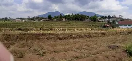 dijual tanah kebun dekat jalan utama gunung Puntang masuk mobil