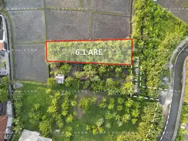 STRATEGIC LEASEHOLD LAND WITH RICE FIELD VIEW IN SEMINYAK