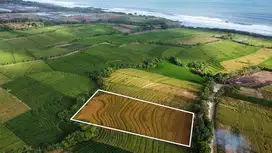 DIJUAL TANAH TIBU BIU PASUT TABANAN ZONA PINK WISATA