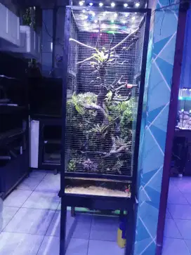 Aviarium (mini aviary)