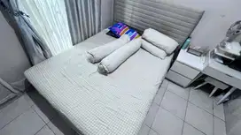 Kasur Zees Sleeplicity 160x200