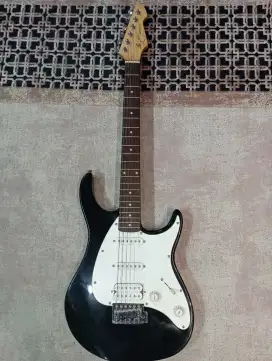 Peavey raptor exp