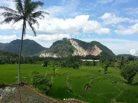 Tanah dijual potensi tempat wisata luas +- 1,5 HA sdh ada pohon durian