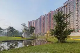 Disewakan Apartement Marigold BSD City Fully Furnished