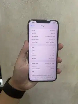 Iphone 12 Pro Max 256 Terdaftar Beacukai