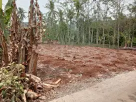 Dijual LAHAN Luas 1.098m2