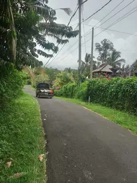 Jual tanah antosari 40are