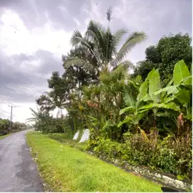 jual tanah penebel tabanan tanah kebun tabanan penebel