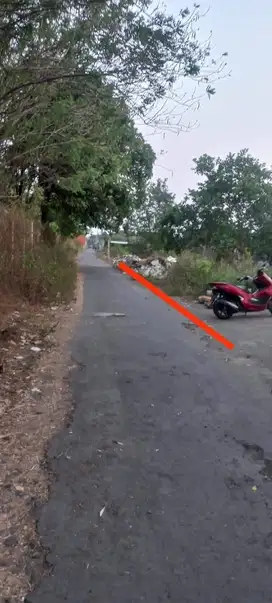 Jual kilat Murah meriah nego! lokasi barat Pamella 7 Supermarket