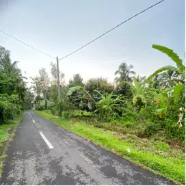 jual tanah kebun tabanan penebel 42are