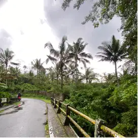 jual tanah penebel tabanan pinggir sungai besar