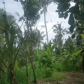 jual tanah view lembah tanah taro ubud