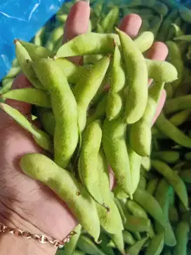 Edamame 16.000/kg nya