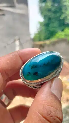Bacan Doko lawas Natural