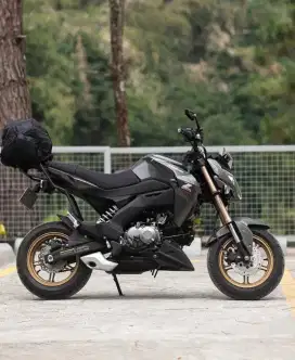 Kawasaki Z125 pro 2018
