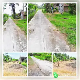 tanah sangat nyaman dan strategis margodadi seyegan