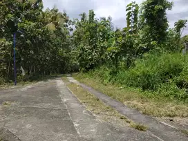 Tanah Pekarangan 2,4 Hektar Lendah Kulon Progo