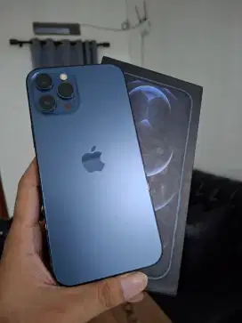 Iphone 12 Pro Max 256 GB