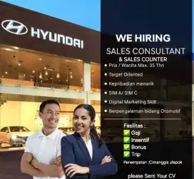 Sales consultant