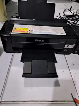 Printer epson L300 persman L310