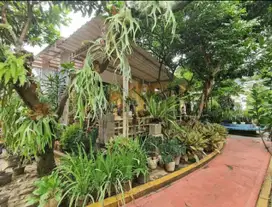 Dijual Rumah Asri dan Nyaman di Kebayoran Terrace Sektor 7 UT-15982