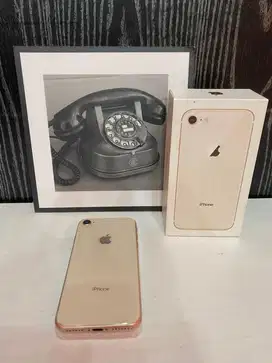 iPhone 8 256 BH100