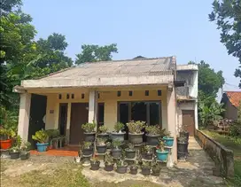 RUMAH MURAH SUASANA ASRI DAN STRATEGIS DI KEMANG BOGOR