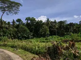Tanah kavling strategis di sentolo Kulonprogo harga murah