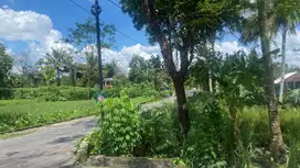 Tanah Utara Resto Jejamuran 2 Jutaan View Sawah