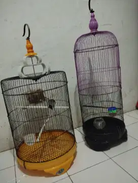 Sangkar besi muray no 2 + burung kutilang gacor isian+sangkar besi llb
