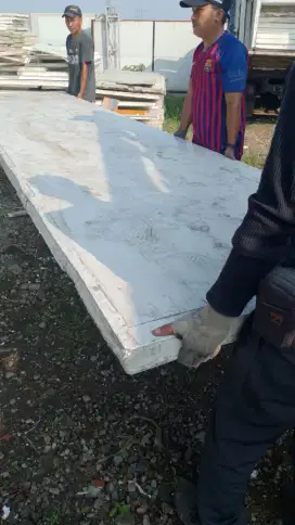 Sanwidpanel Eps 8 cm ex Korea