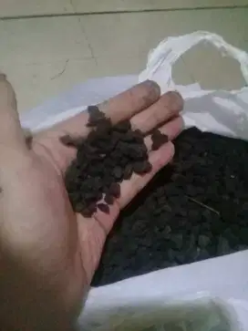 Batu akuarium warna hitam.