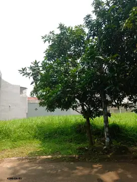 Dijual Kavling Strategis Harga Menarik Di BSD City