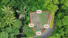Premium Freehold Land for Sale - Prime Commercial Location in Ubud Cen