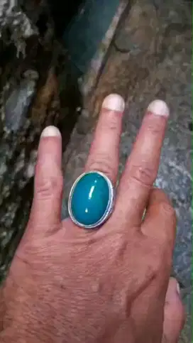 Bacan jumbo koleksi lawasan