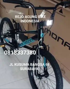 POLYGON ROGUE BLACK TERBARU 2025