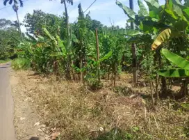 JUAL TANAH PEKARANGAN